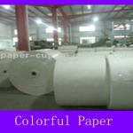 Pe coated paper in roll