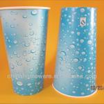 Custom LOGO Printed Paper Cups for Coffee/Ice cream/Food/Cola(QS,FDA,SGS)