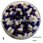 high quality halal certificate hard Empty gelatin capsule