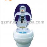 Spa water massage cabin QZ-808