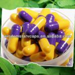 empty hard gelatin capsules shell