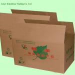 carton box for vegetables