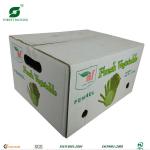 FRESH LETTUCE PACKAGING BOX