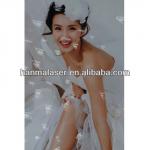 wedding photo 3d Laminating Film/multi lens film/decoration film