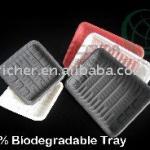 Disposable plastic food tray for personal design