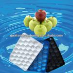 Blister Tray For Packing