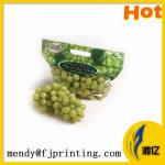 Food packaging plastic Pouch