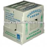 Asparagus corrugated plastic box/Asparagus container