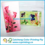 Clear acetate folding printed PET packaging box