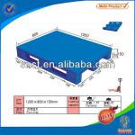 Hot sale euro plastic pallet