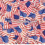 Liquid Image flag liquid print/printing film Item No. LRD018B