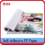Printable waterproof pp paper