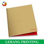 Good Quality Custom CMYK Printing Brochure