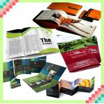 Cheap high quality various promotion cheap color printing brochure