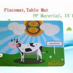 plastic pp pvc pet writing board