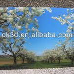 Best Maunfacture Wholesales High Quality lenticular 3D pictures made in China