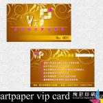 artpaper vip card