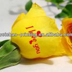 Fashion decoration Fresh Water Transfer flower sticker