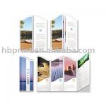 Quality 4C Brochure Printing Service (6th-year Gold Supplier)