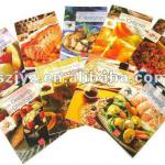 JYZ0069 Catalog / magazine / softcover book printing