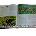 2013-2014 full color catalogue printing/magazine printing good supplier QC854