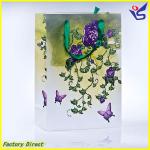 New Design Paper Packaging Shopping Bag