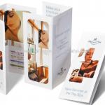 flyer, booklets, a5 brohure, catalogue printing