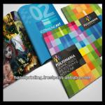 Professional brochure printing service at competitive price