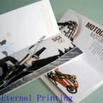 OEM Booklets/Flyer/Brochure/Leaflets Printing