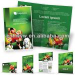 High quality printing brochure/template with film for promotion