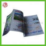high quality advertising brochure samples printing