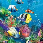 popular lenticular 3d PET seaworld pictures
