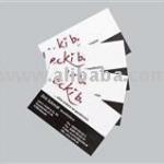 Magnetic Business Cards 10020E
