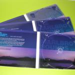 CD DVD Replication, Blu-ray Disc DVD BD replication, Hockey Rink CD DVD Replication Business Card CD DVD Replication