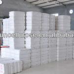 Manufacturing Viscose Fiber Cotton Linter Pulp for Cellulose ether