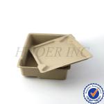 Sugarcane Fiber Packaging