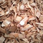 Wood chips with competitive price