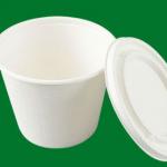 Biodegradable Disposable Paper Pulp Bowl