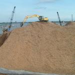 Wood chips with competitive price