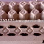 Pulp molds