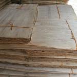 Eucalyptus core veneer