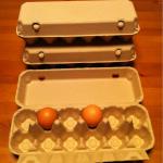 12 holes egg box