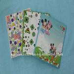 PVC Free ring binder cover EPPE film