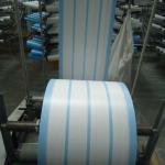 PP Fabrics with Blue Strips