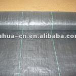 PP Webbing/PP woven tubular fabric