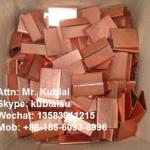 closed type copper finish clips/seals