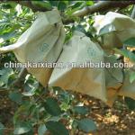 Apple protection paper bag