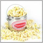 Large Round Popcorn Ice Bucket Tin Can with Wire Handle