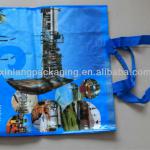 pp woven shopping bag