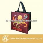 Customise PP Non Woven Shopping Bag